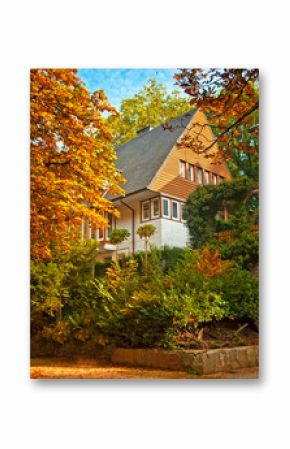Nice autumnal scene