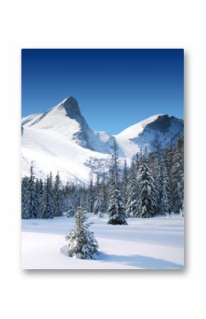 trees coated with snow and high snowy mountains