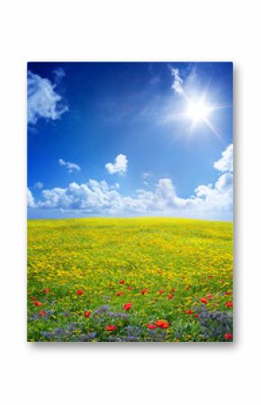 yellow field in serene scene