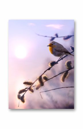 art beautiful spring morning nature background
