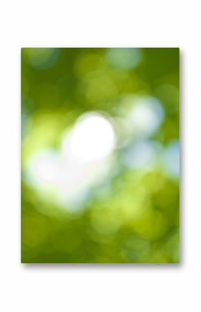 abstract background image of green vegetable closeup