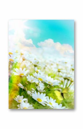 Art high light  Bright summer flowers Natural background