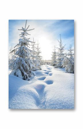 winter landscape with the forest  and blue sky