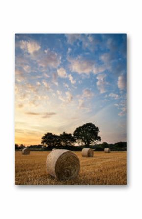 Rural landscape image of Summer sunset over field of hay bales