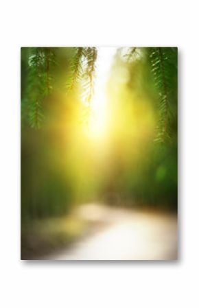 Abstract blurred nature background with sunlight