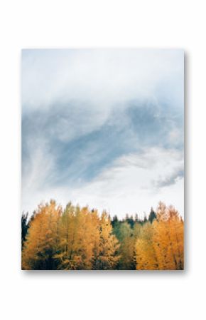 Fall in the Pacific Northwest