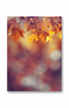 Autumn background