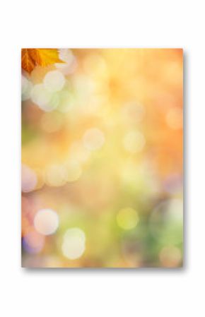 Autumnal fall in the forest, abstract environmental backgrounds