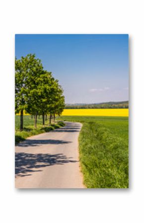Frühling auf einer Landstraße