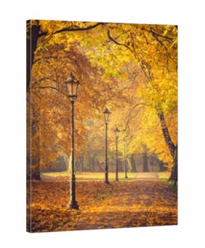 Colorful tree alley with row of lanterns in the autumn park on a sunny day in Krakow, Poland