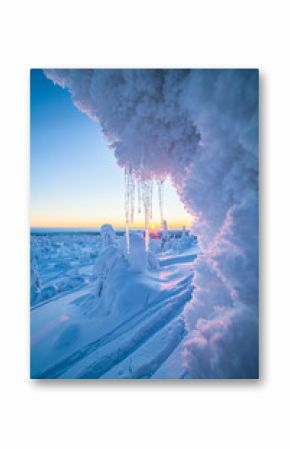 Snow covered trees with icicles, Lapland, Finland, Europe 