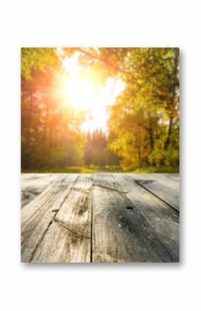 Wooden table in autumn forest at sunset