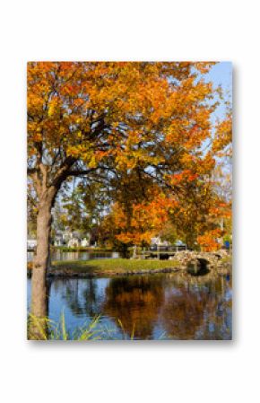 A colorful scene of a park with a tress and a pond in autumn. Heckscher Park, Huntington, NY.