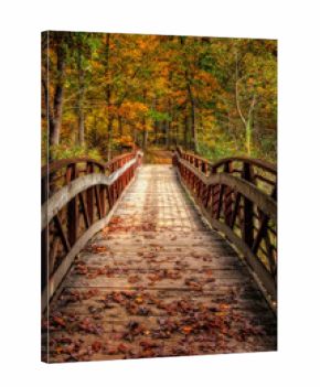 Autumn Foot Bridge