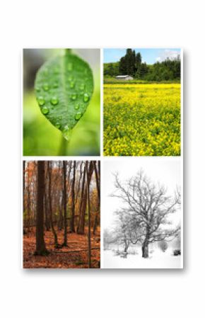 Collage of four seasons