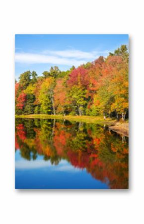 Colorful foliage reflections in pond water on a sunny autumn day in New England