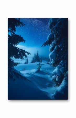 Valley covered with fresh snow in a moon light