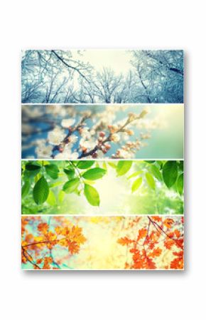 Four seasons. A pictures that shows four different pictures representing the four seasons: Spring, summer, autumn and winter