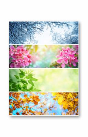 Cztery pory roku. Zdjęcia przedstawiające cztery różne zdjęcia przedstawiające cztery pory roku: zimę, wiosnę, lato i jesień.