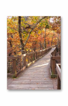 Boardwalk to Bald Ridge, Cheaha State Park, Alabama in the Autumn