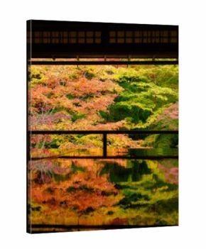 晩秋の瑠璃光院  