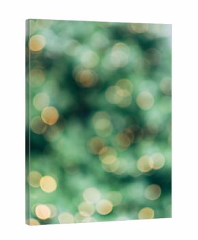 Blurred lights on Christmas tree