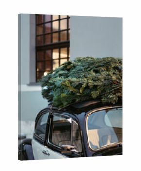 Green Christmas tree on the roof of the car.