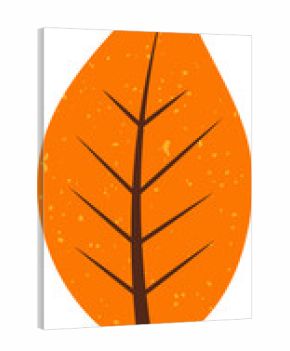 Cartoon-style autumn leaf is showing flat design, orange blade, brown veins, transparent background