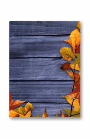 Autumn leaves and twigs are forming border on weathered blue wood planks, flat design, copy space