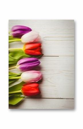Row of six tulip flowers is appearing in flat design on white plank background, copy space