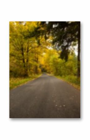 Empty road amidst trees during autumn