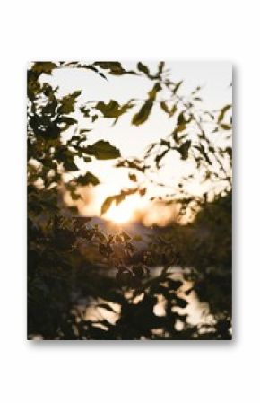 autumn leaves in front of a lake