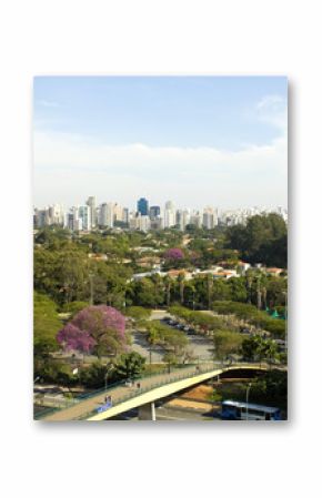 Sao Paulo city, Brazil. Skyline aerial view.