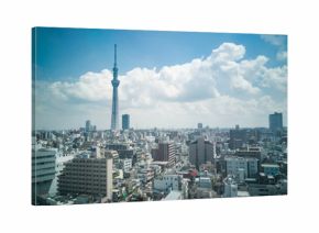 Scenic view of Tokyo Japan cityscape  within Sumida area.
