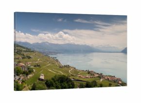 Vineyard aerial photos by the Geneva lake in Switzerland