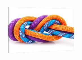 eight  rope knot isolated on white