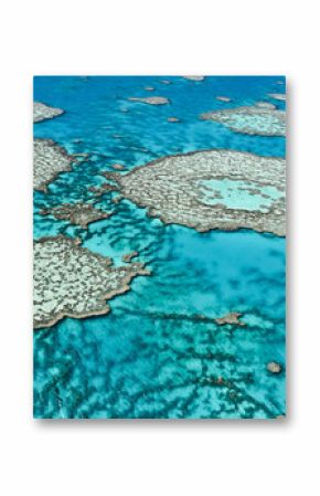 Wielka Rafa Koralowa w Queensland, Australia.