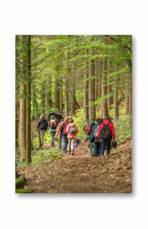 a group of walker in a forest