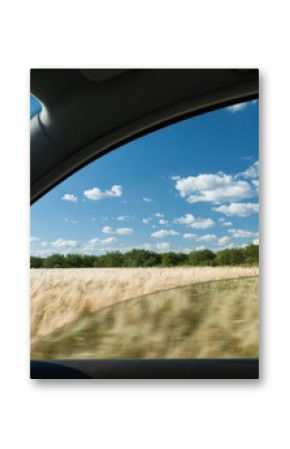 view from car window on wheat field