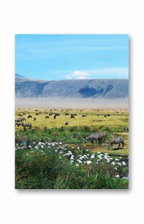 Ngorongoro Crater