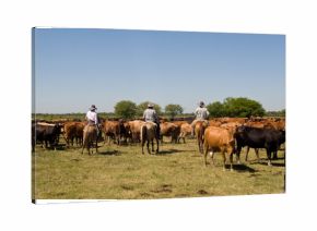 Gauchos in Paraguay