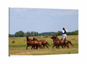 horse riding