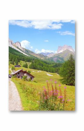 Chalet et prairie des Alpes