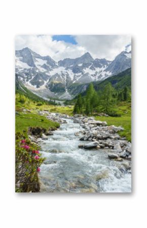 Wildbach vom Gletscher in den österreichischen Bergen