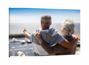 Senior man pointing at beach while embracing his wife by seaside