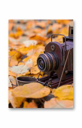  Camera obscura is located in the yellow pages. Autumn conjures up the thought of old age.