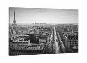 Paris cityscape black and white panorama  with view to the Eiffel Tower, France. Beautiful parisian architecture with historic buildings and landmarks