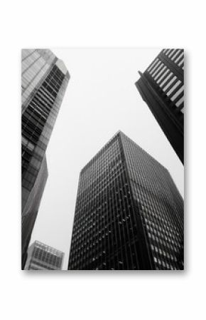 A striking black and white image of towering city buildings. Perfect for architectural and urban design projects