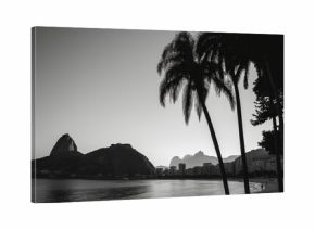 Black and white image of Sugarloaf Mountain in Rio de Janeiro, framed by palm trees, highlighting the tranquil blend of city and nature.