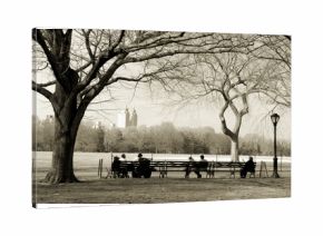 central park